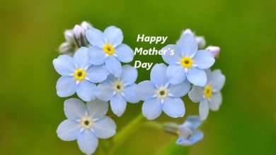 Happy Mother's Day