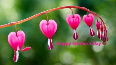 Happy Mother's Day