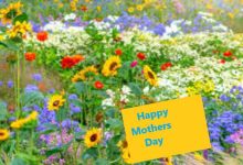 Happy Mothers Day