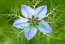 Happy Mother's Day